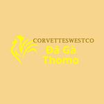 Đá Gà Trực Tiếp Thomo