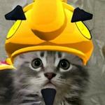 私達は選んで自由です 私は一人です