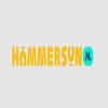 Hommerson Nederland