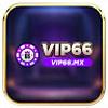 Vip66 Mx
