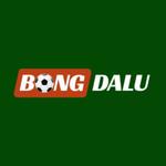 Bongdalu – Cập Nhật Tỷ Số Bóng Đá Nhanh & Chính Xác Hàng Đầu