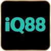 Iq88vn