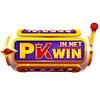 PKWIN