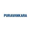 Purva Northern Lights