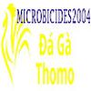 Đá Gà Trực Tiếp Thomo