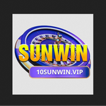 SUNWIN observer