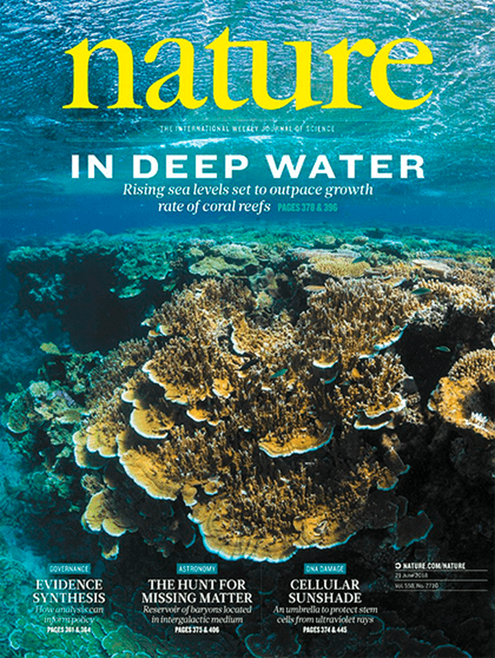 SciNat за июнь 2018 #4: защита стволовых клеток от солнца, новый род гиббонов из древней китайской гробницы и особенности мозга крыс-алкоголиков