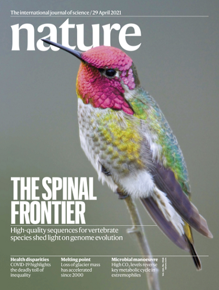 SciNat за апрель 2021 #5: геномы позвоночных, патогенные бактерии и эволюция асгардархей