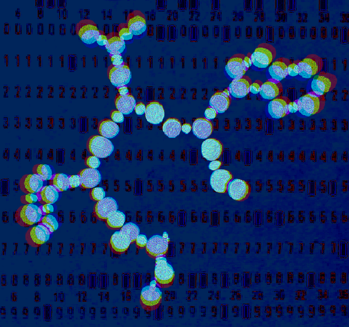 Молекулярная динамика биомолекул. Часть II. Пионерские работы отечественных ученых