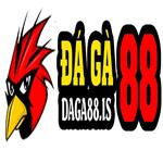 ĐÁ GÀ 88