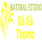 Đá Gà Trực Tiếp Thomo