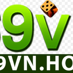 69vn
