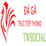 Đá Gà Trực Tiếp Thomo