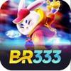 BR 333