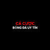 cacuocbongdaenergygreen@gmail.com