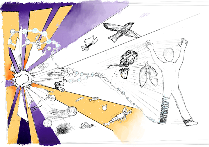 Развитие и эпигенетика, или История о Минотавре