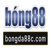 bongda88c com