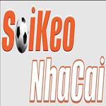 Soi kèo nhà cái