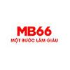 MB66 Feedback