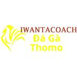 Đá Gà Trực Tiếp Thomo