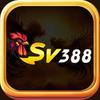 SV388 KIM KIM