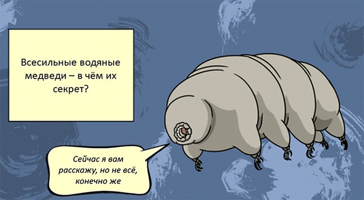 Всесильные водяные медведи — в чем их секрет?