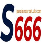 S666 S666
