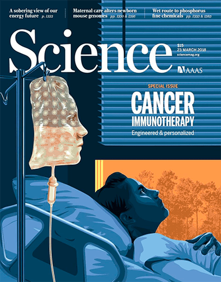 SciNat за март 2018 #4: метаморфоза громоздкого сканера МЭГ, изменение мозга из-за заботы мамы и дань Стивену Хокингу