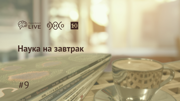 Наука на завтрак #9: Почему киты такие большие?