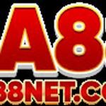 ea88 netcom