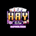 Haywin tech