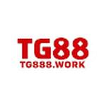 Tg888 work
