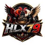 hlx79fun hlx79fun