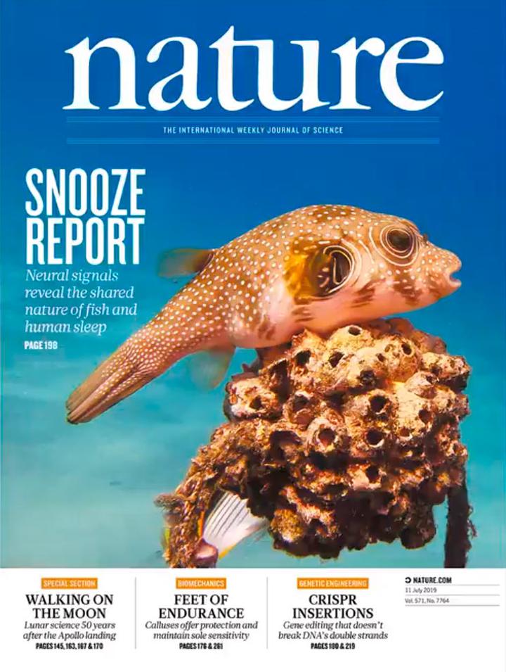 SciNat за июль 2019 #2: горбатые быки, сонные рыбы и ритмичные инфузории