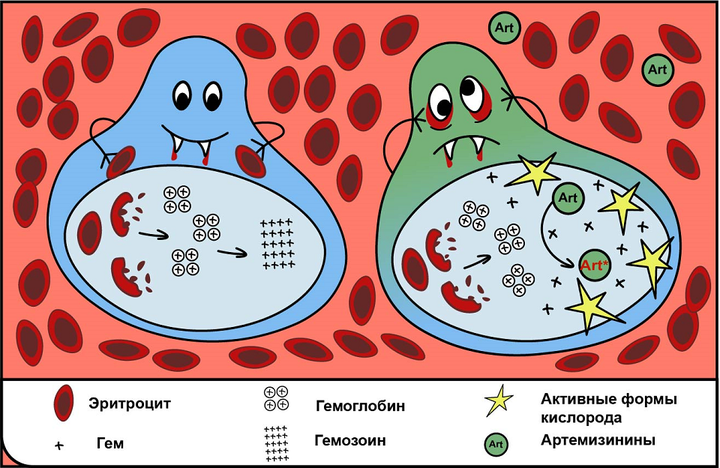 Вампиры внутри нас
