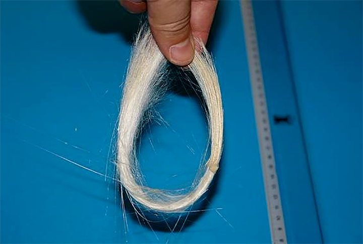 Уникальные силикатные биоматериалы из морских глубин