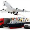 Freight Forwarder