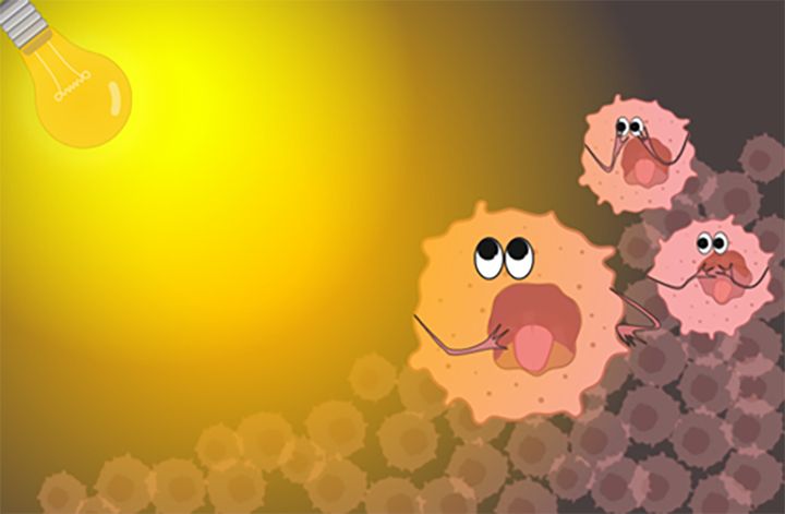 Фотодинамическая терапия: подсвети проблему рака