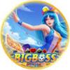 BigBoss Sân chơi giả
