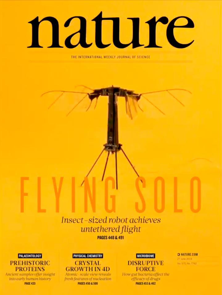 SciNat за июнь 2019 #4: случайные регулярные мутации, нейробиология ожирения и путь антибиотика к туберкулезным бациллам