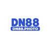 Dn88 photo