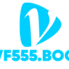 vf555 boo