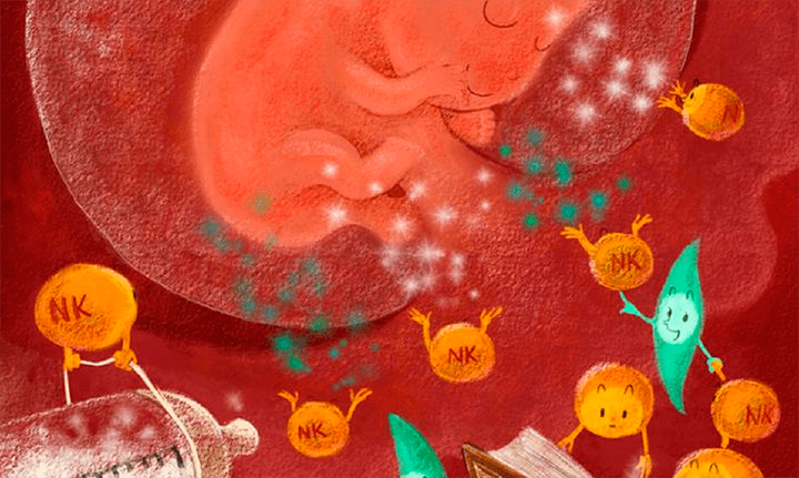 Когда появляется иммунологическая память?