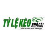 Alex Reed CEO_Tỷ lệ kèo nhà cái