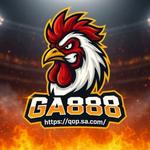 GA888 Đá Gà Trực Tiếp Thomo