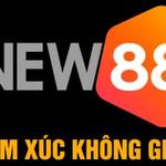 NEW88 Link Đăng Nhập