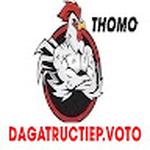 ĐÁ GÀ TRỰC TIẾP VOTO