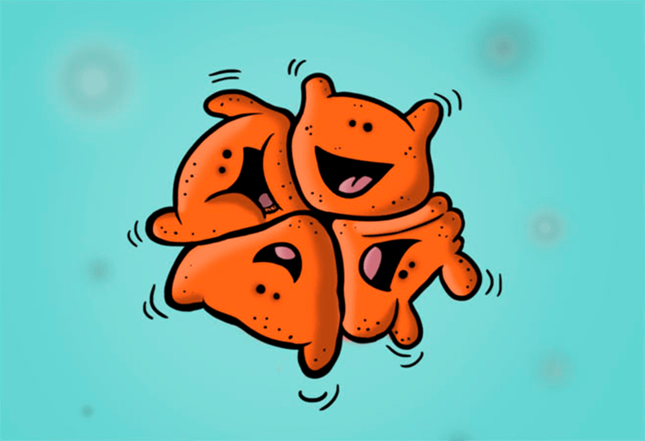Как пережить облучение: инструкция от <em>Deinococcus radiodurans</em>