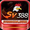 sv388com buzz