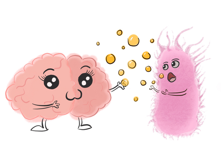 Влияние бактериальных внеклеточных везикул на нейродегенеративные заболевания